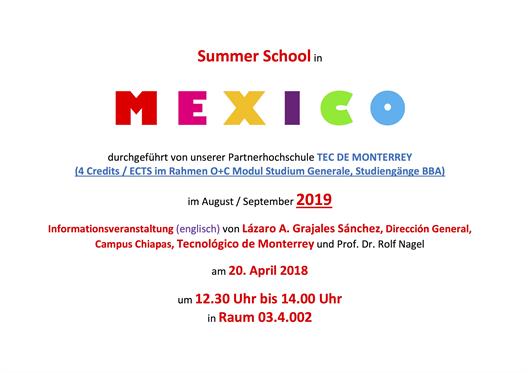 Summer School in MEXICO